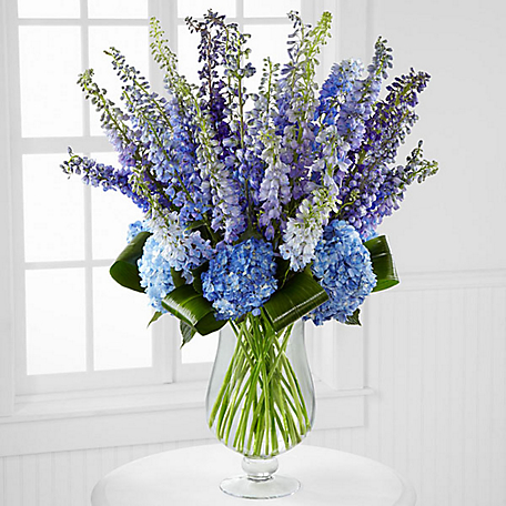FTD-Honestly Luxury Delphinium and Hydrangea Bouquet