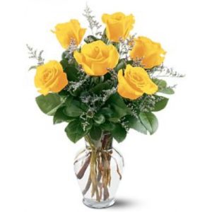 SUE-Half Dozen Yellow Roses