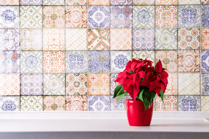poinsettia-kitchen-countertop-wall-with-old-colored-tiles