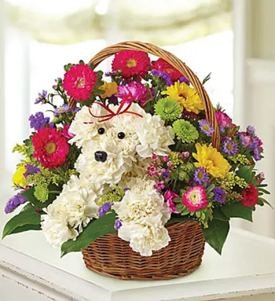 Sympathy Flowers for Loss of a Dog