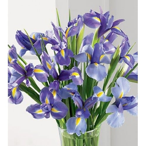 The True Meaning of Giving Flowers from Your Local Florist