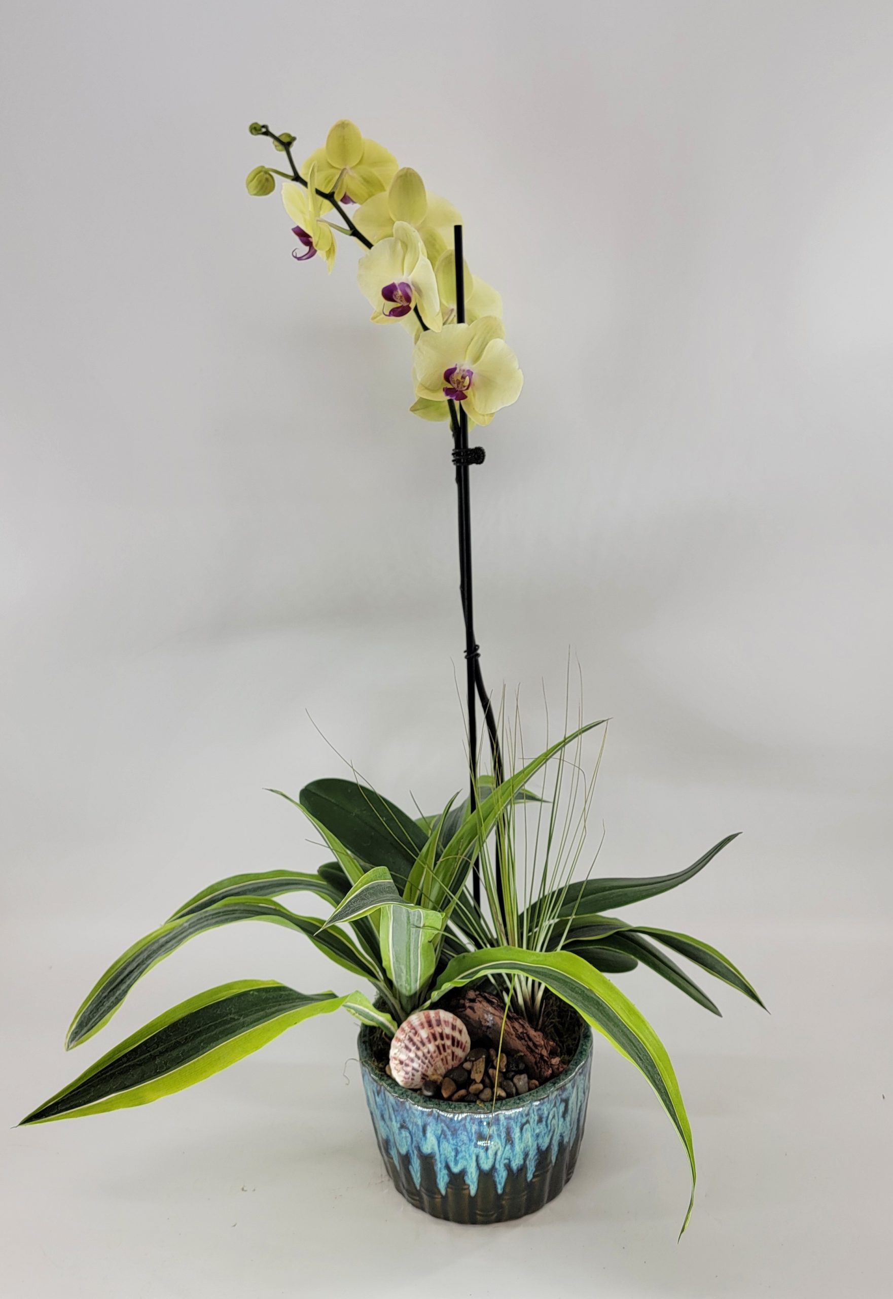 orchid dish
